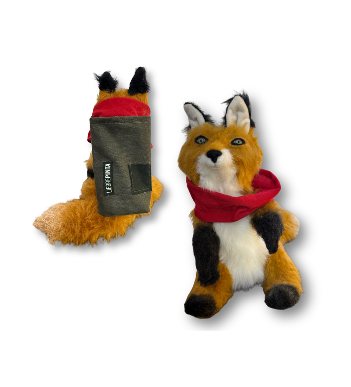 imagen_2026-02-19_125830318